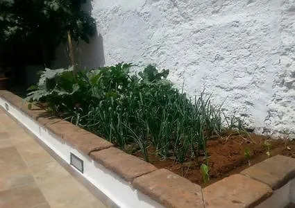 Semesterbostad Vivienda Vacacional Casa El Olivo *